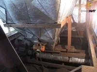 Інкубатори для яєць історія, різноманітність видів історія