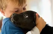 кучето кучето