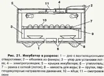 Інкубатор - пристрій та використання використання