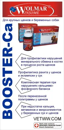 източноевропейска овчарско куче