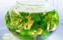 лечебни билки