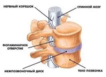 лекар остеохондроза