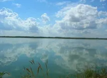 горкое горкое