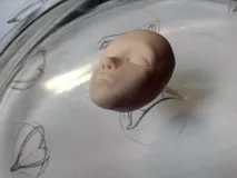 лице глина
