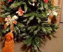 котка lkin
