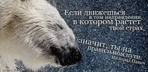 дори безумно