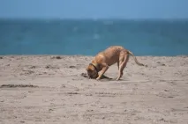 вода вода сайта
