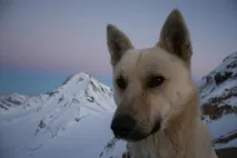 алпинизъм алпинизъм