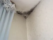 дома отървете