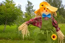 Як зробити опудало для дачі вибір матеріалу та ідеї, інструкції опудало