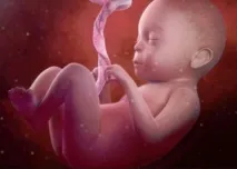 бебето кака