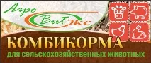 предприятие изградим