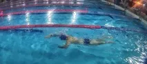 дупето естети дупето естети