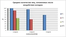 Як холод впливає на клопів і чи можна їх заморозити клопів