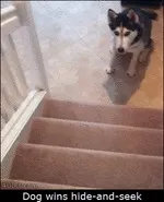 коли