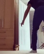 коли