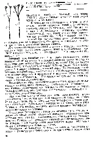 Капроновий корд - Довідник хіміка 21 корду