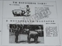 тази книга крикет