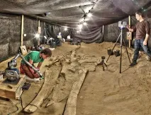 Кити фото Фото кита