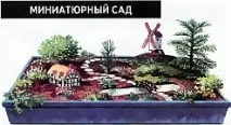 Кімнатні сади сади