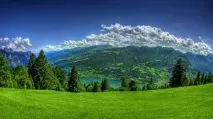 Корм «Earthborn Holistic» – не відірвати від миски за вуха! корм
