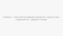 Кішка вижила білочку з території благовіщенського психдиспансеру - Смішні Анекдоти Історії Цитати кішка