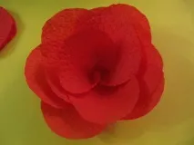 състав клас Макове