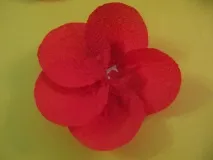 макове Майсторски клас