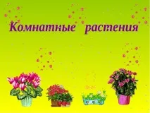 стайни стайни