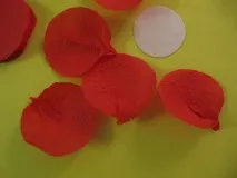 клас Макове Майсторски клас