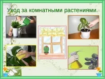 резюме екологично