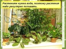 екологично резюме