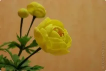 Купальниця (Trollius) з холодної порцеляни, Країна Майстрів. холодної