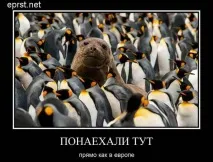 брой елате
