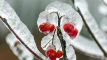 календар