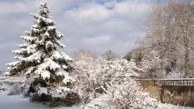 городника