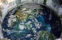 любими любими