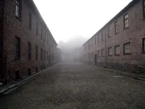 гений мразят
