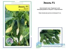 краставици сортове