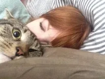 спях любими