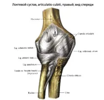 става лакътна