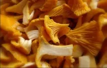 Як приготувати мариновані лисички? мариновані