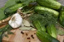 Мариновані огірки хрумкі - рецепт з Пітера пітера