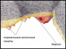 нижній