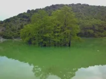вуду