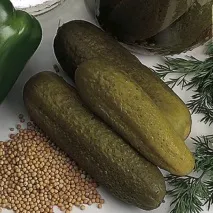 Мариновані огірки хрумкі - рецепт з Пітера пітера
