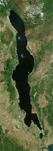 разплод аквариума