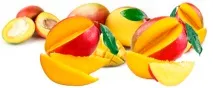 Манго при вагітності корисний продукт при вживанні «в міру» вагітності