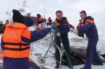 МСМК розшифровка спорт спорт