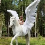 продължителност минути коне